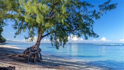 Impressionen Strand