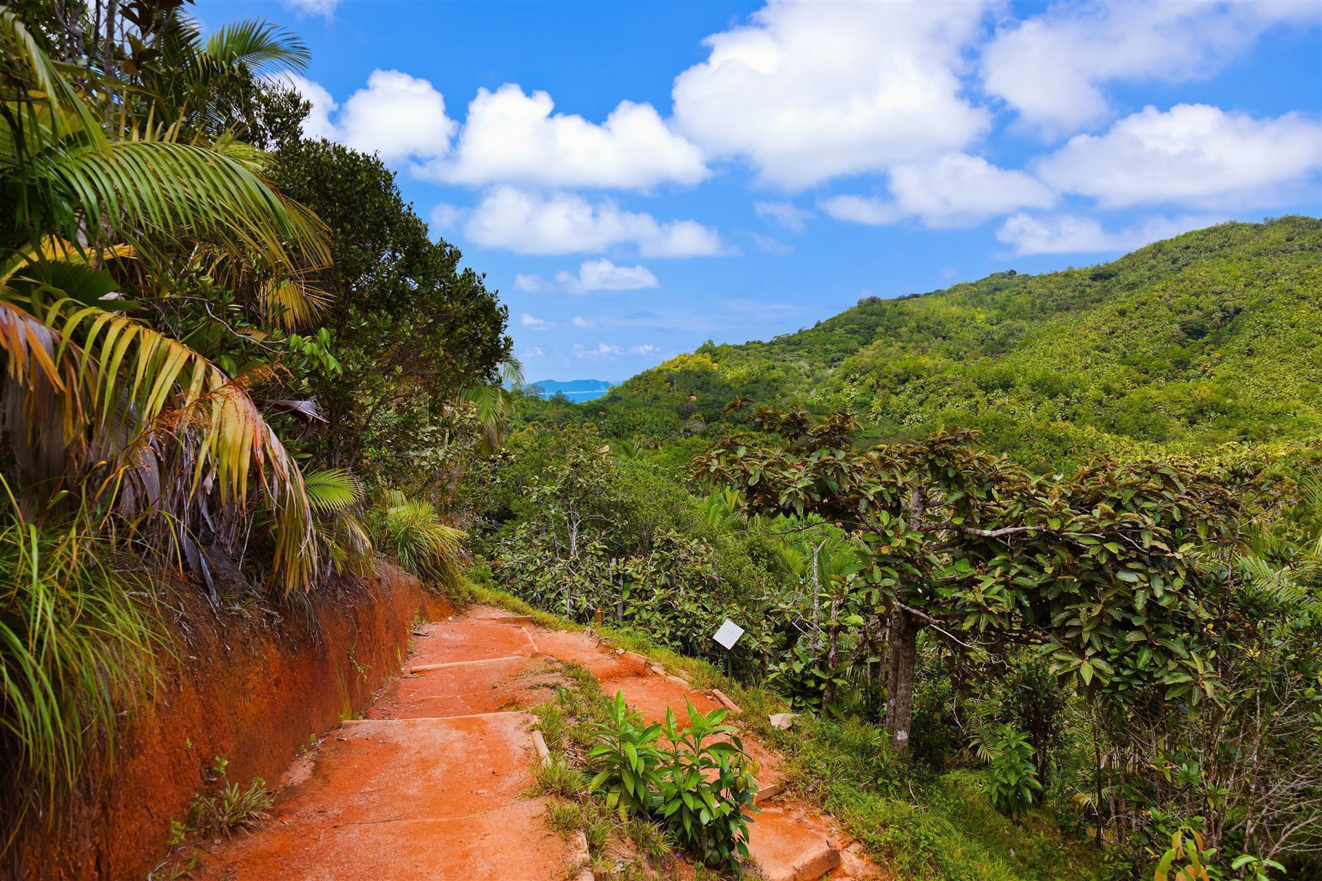 Seychellen Valle de Mai Nationalpark