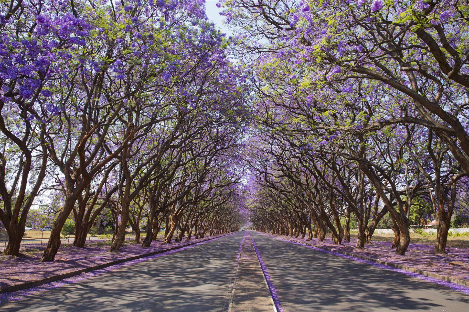 Simbabwe_Harare