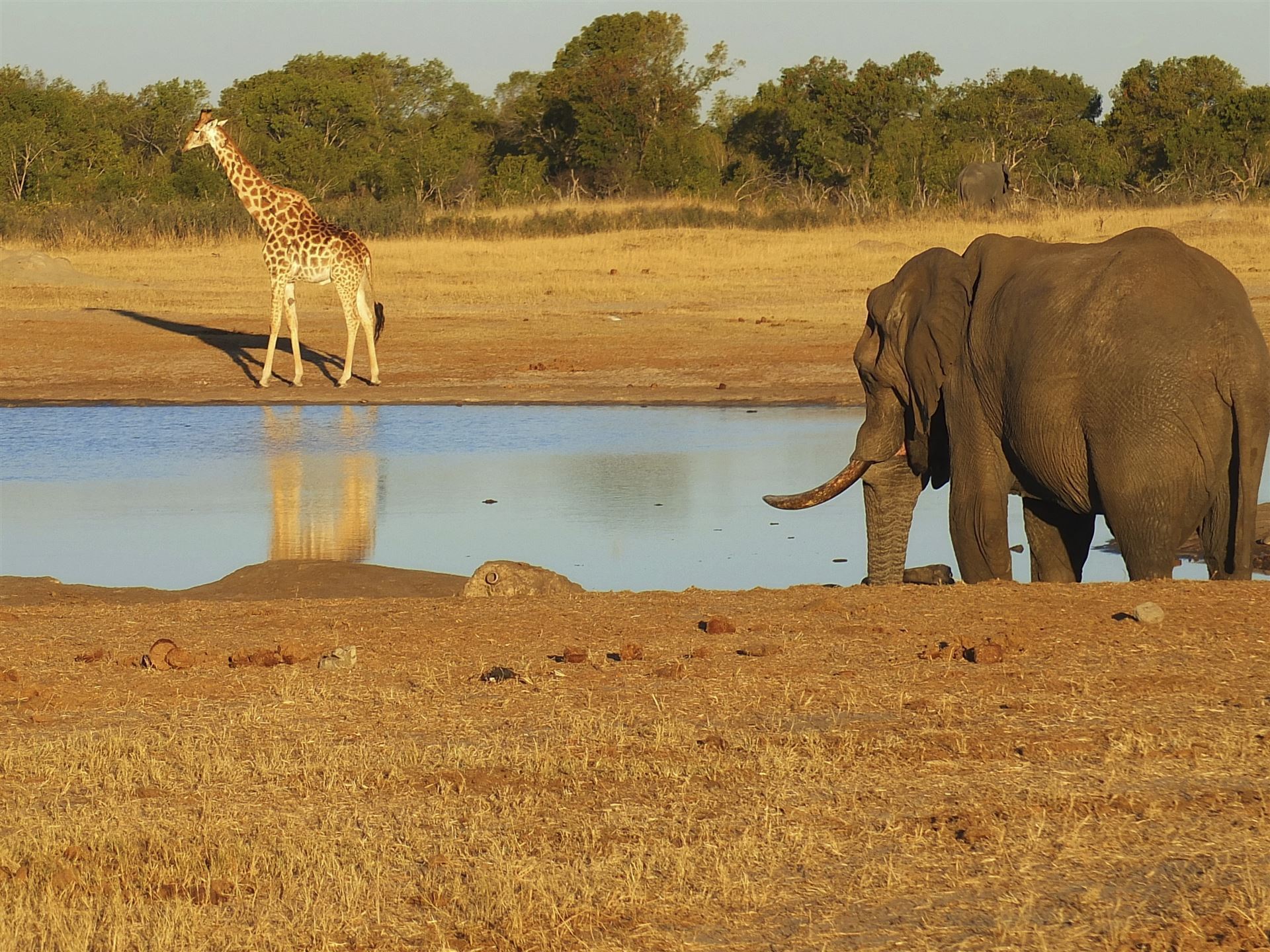 Hwange