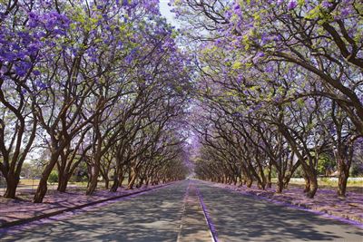 Simbabwe_Harare