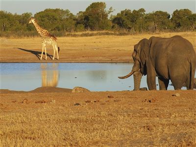 Hwange