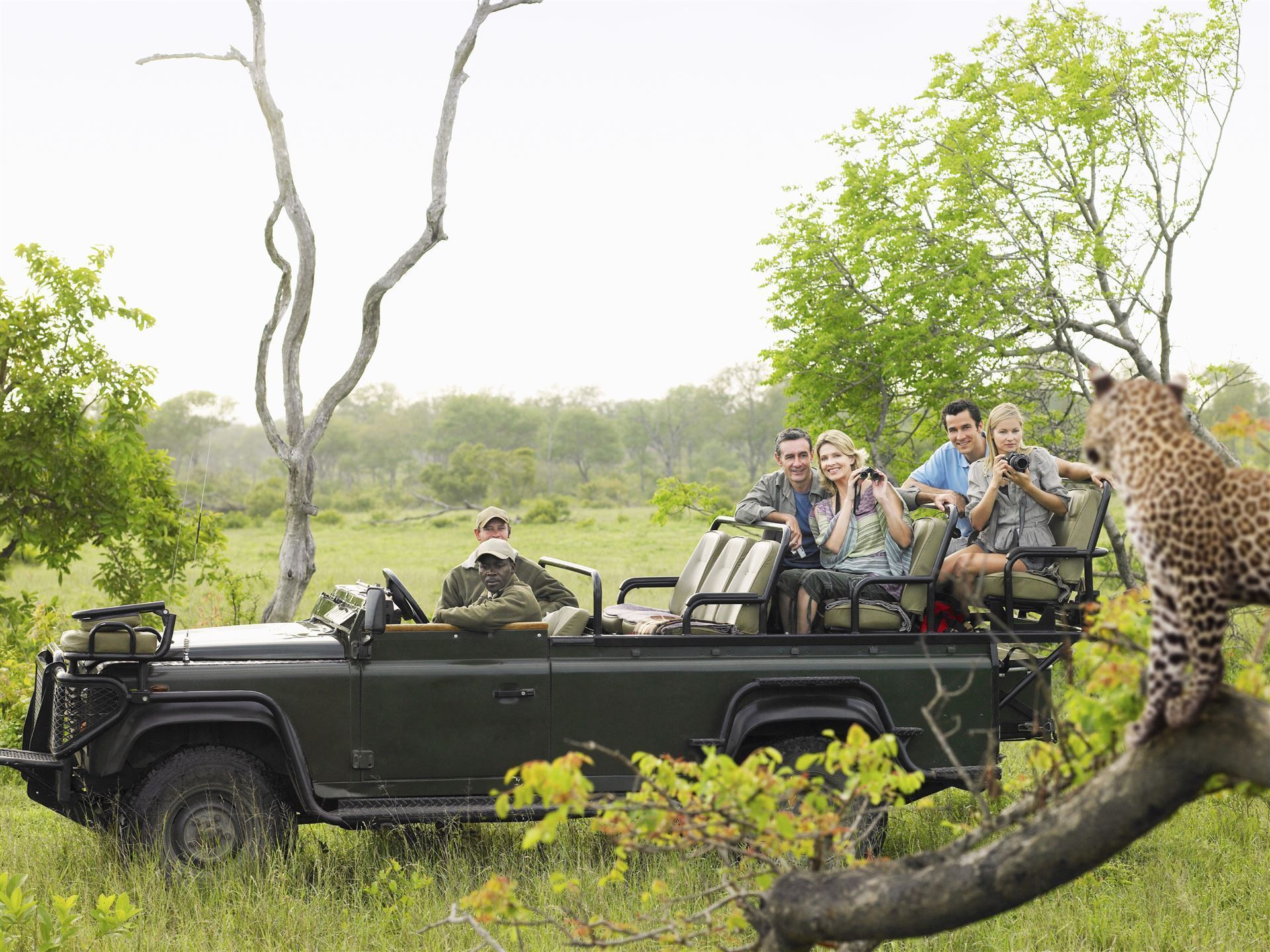 Südafrika Krüger Nationalpark Jeepsafari