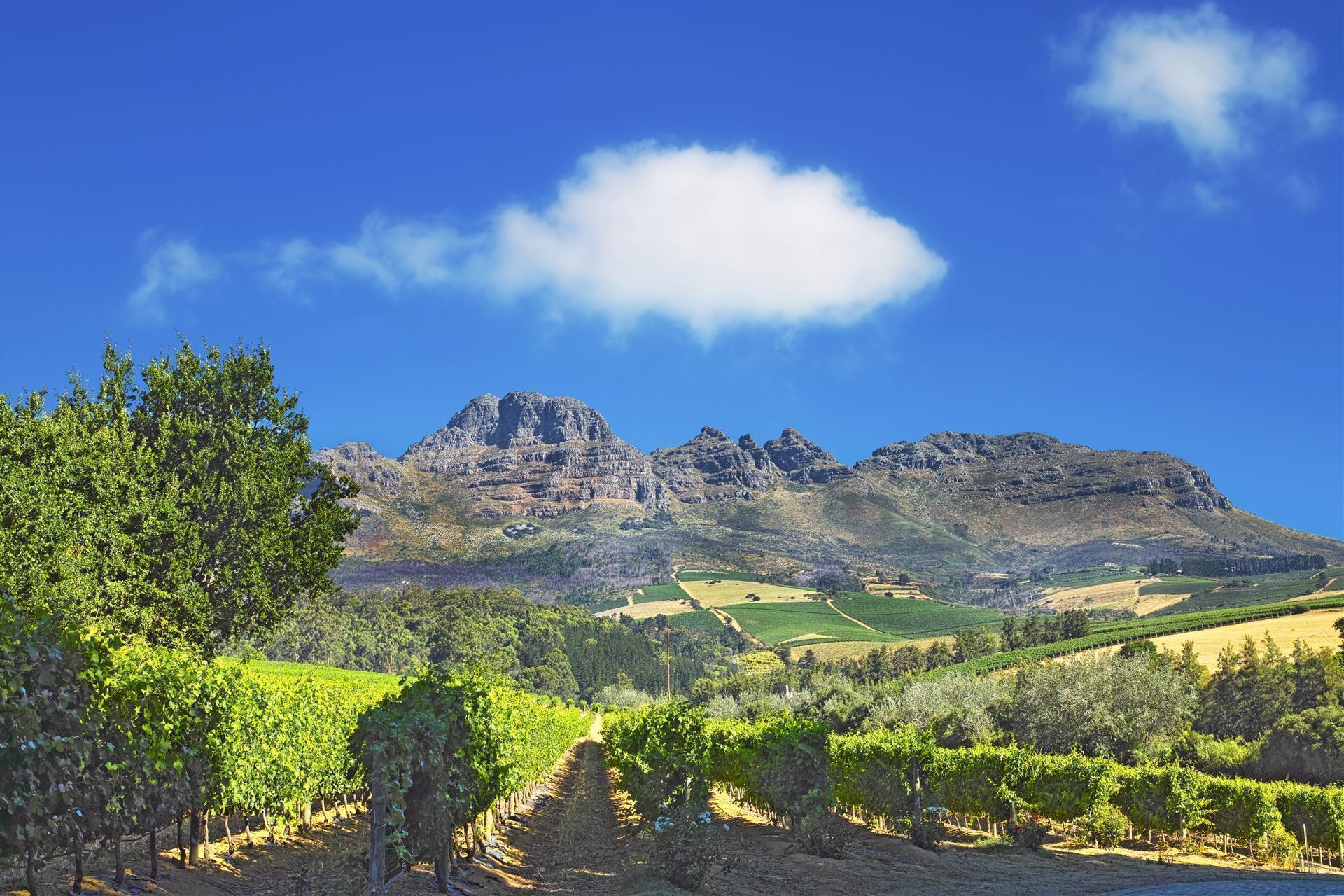 Stellenbosch