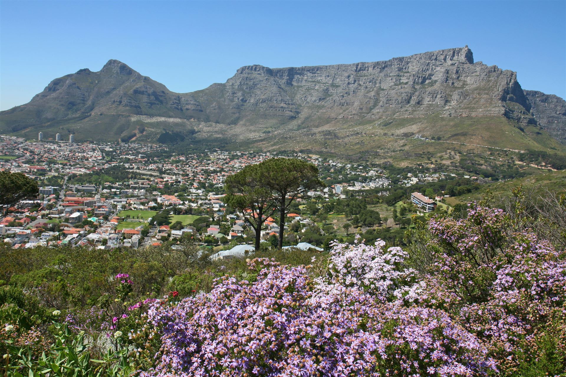 Tafelberg