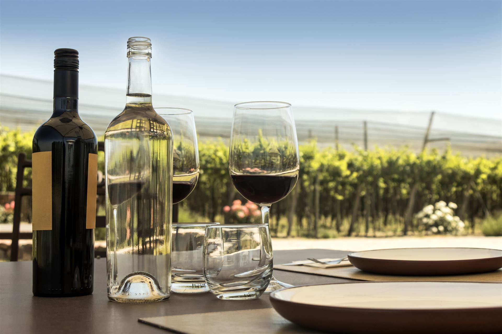 Impressionen Wein in Südafrika