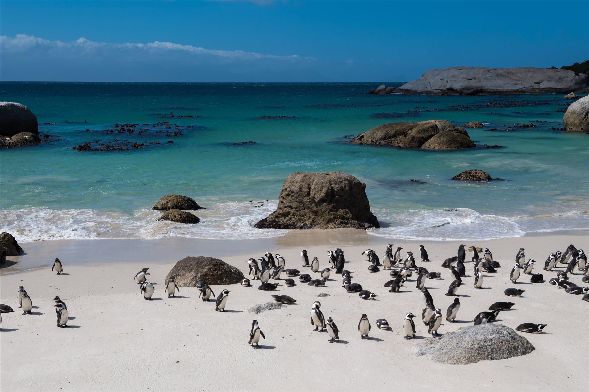 Boulders Beach südlich von Simon´s Town