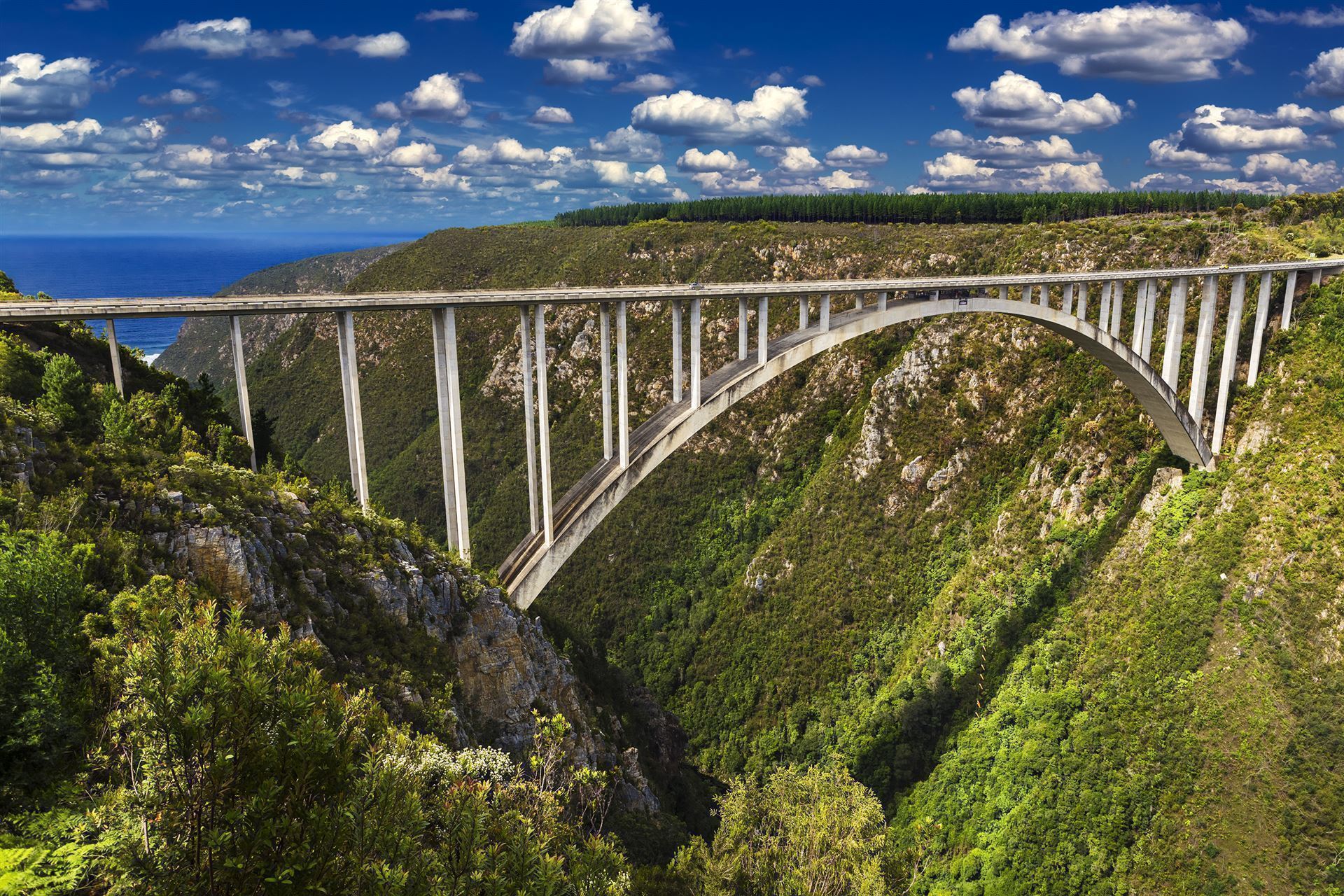 Bloukrans Bridge