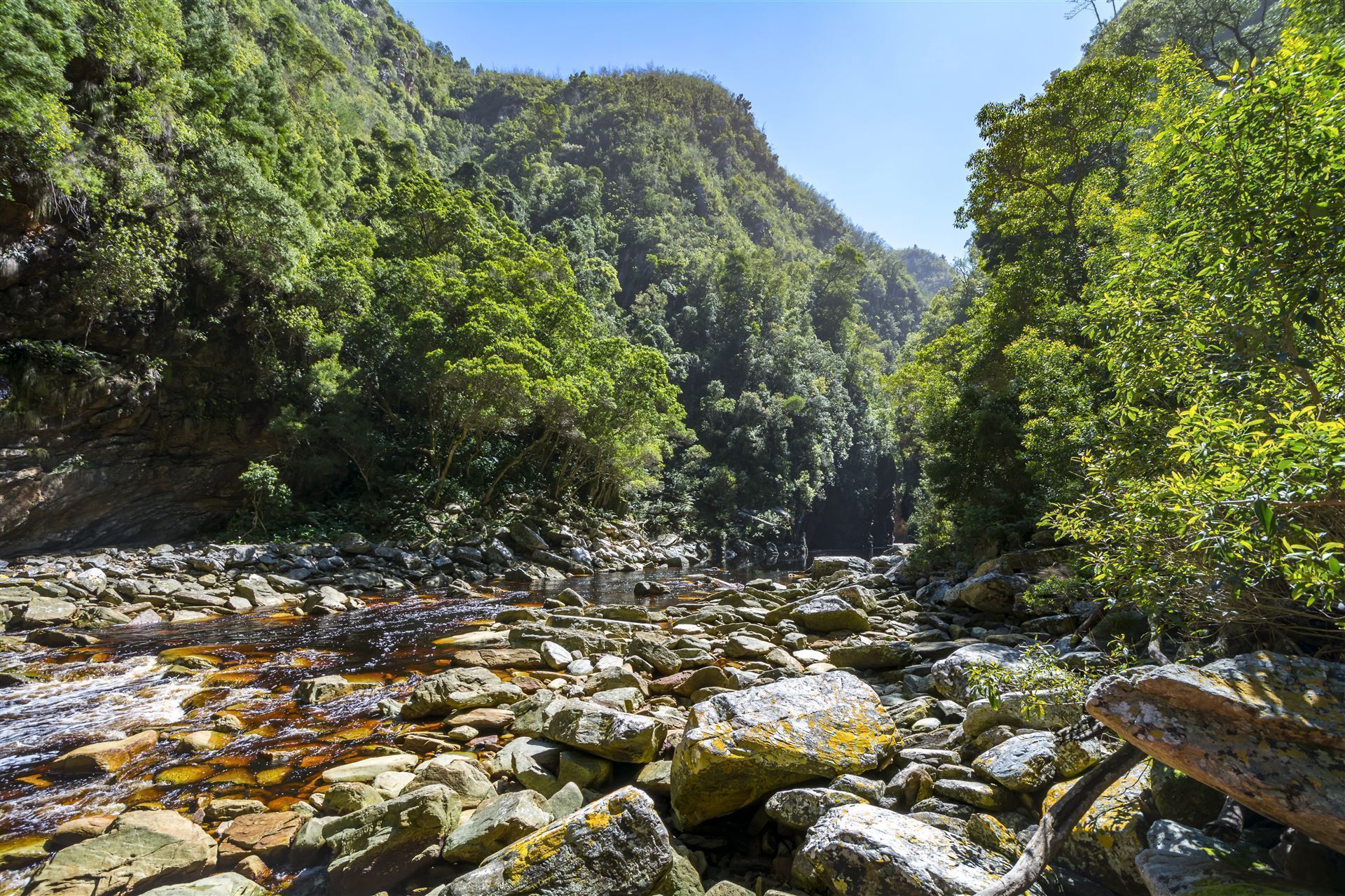 Storms River im Tsitsikamma Nationalpark
