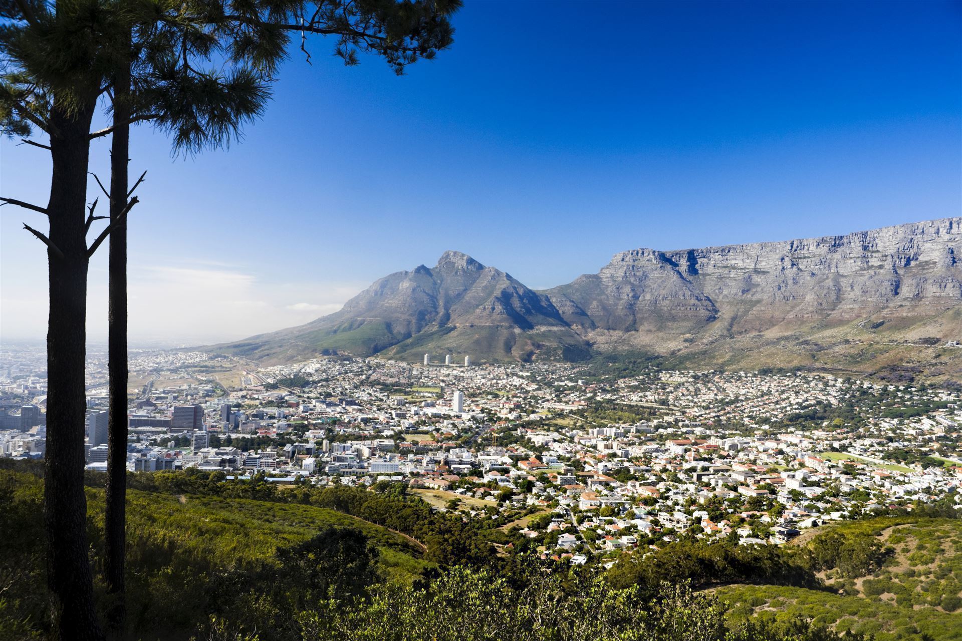 Suedafrika Kapstadt Tafelberg Landschaft