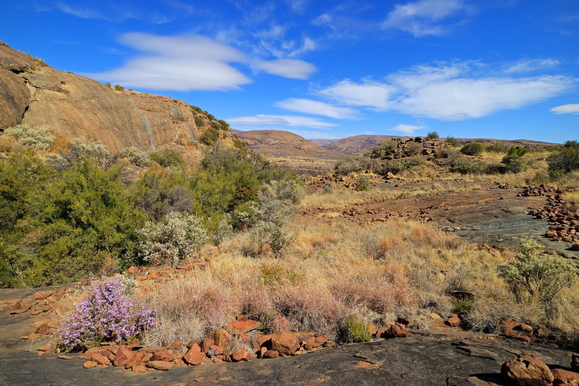 Landschaft im Mountain-Zebra-Nationalpark