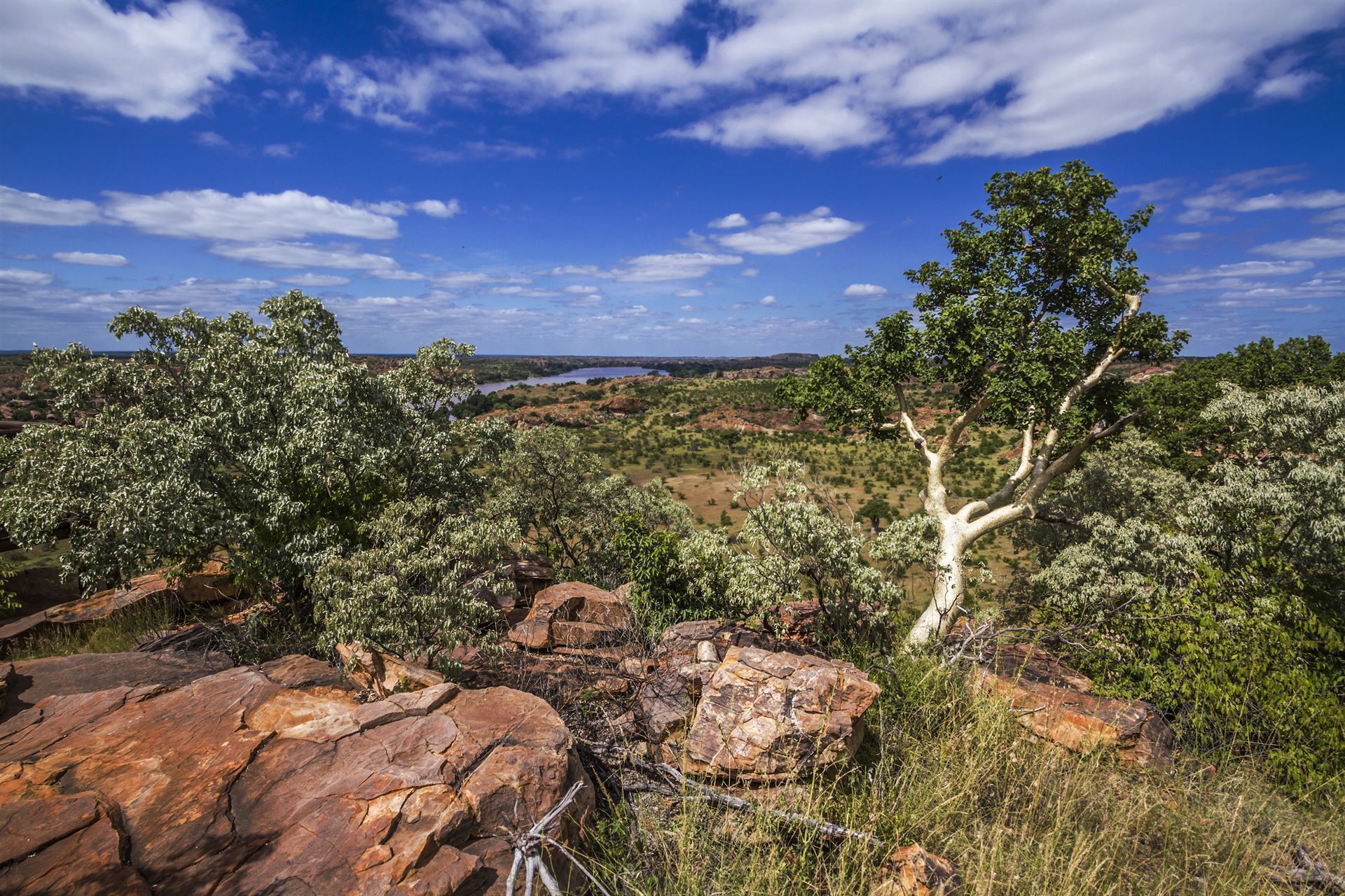 Landschaft im Mapungubwe Nationalpark