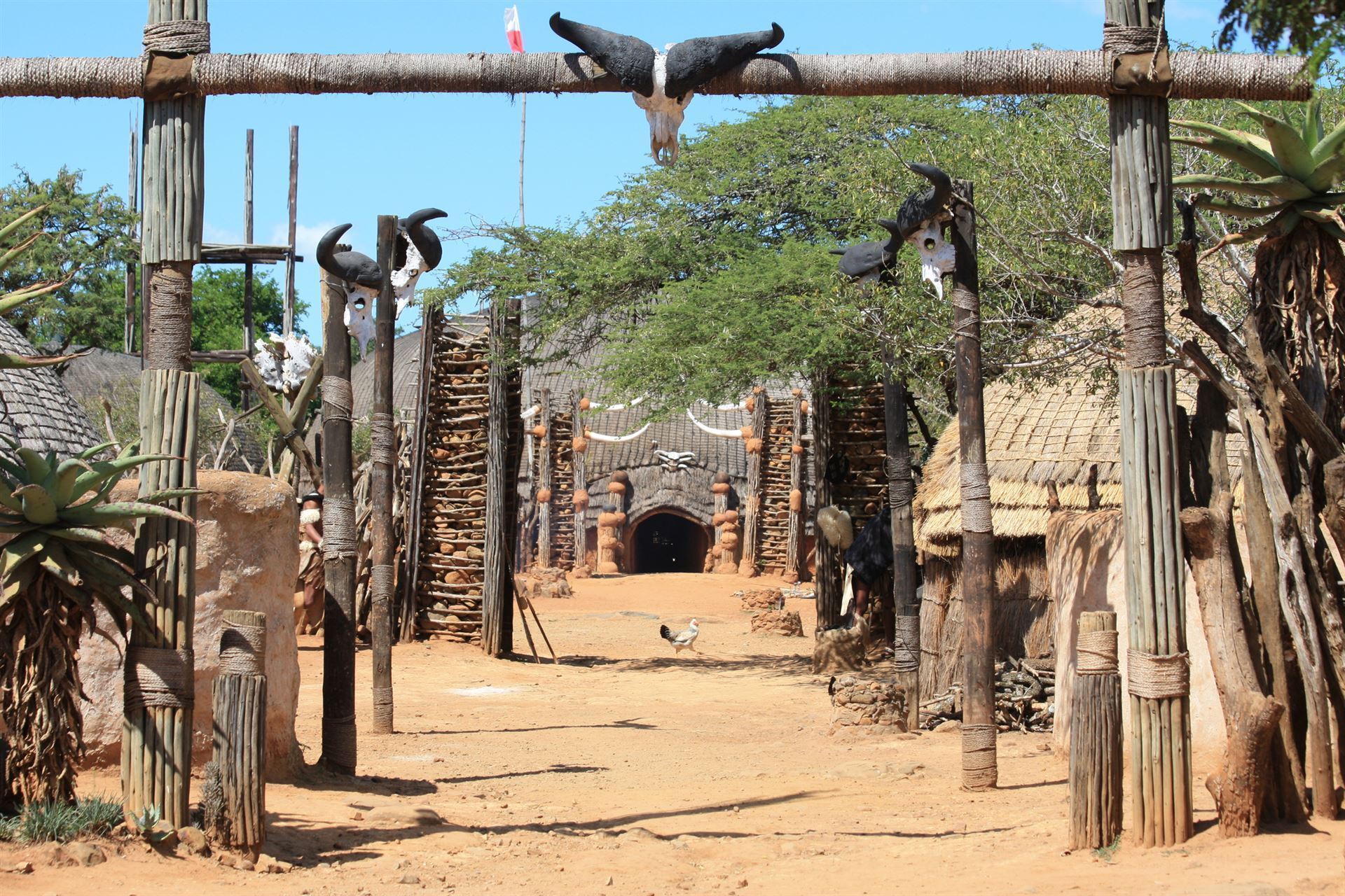 Shakaland