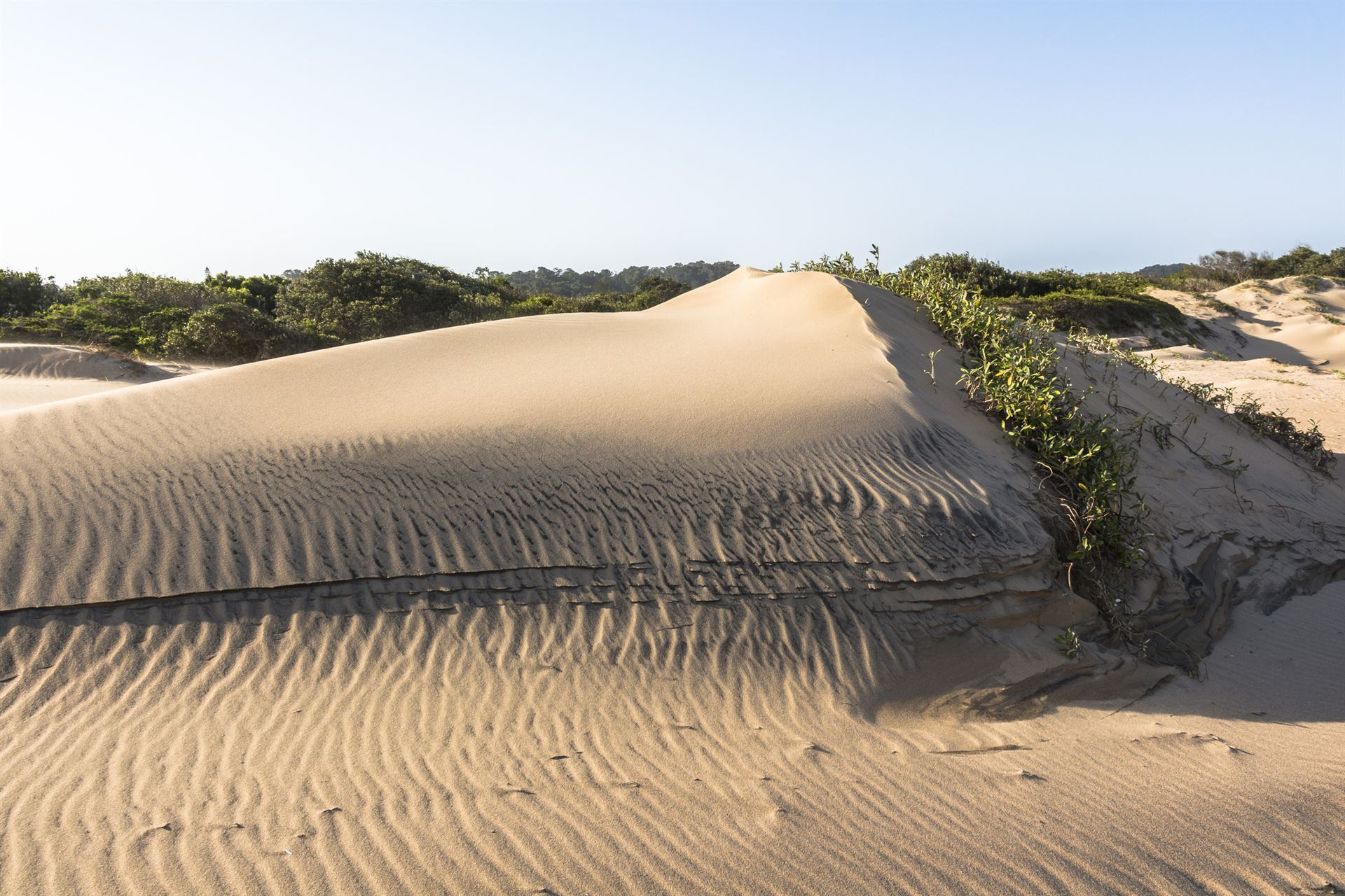 Sanddünen bei St. Lucia an der Elephant Coast