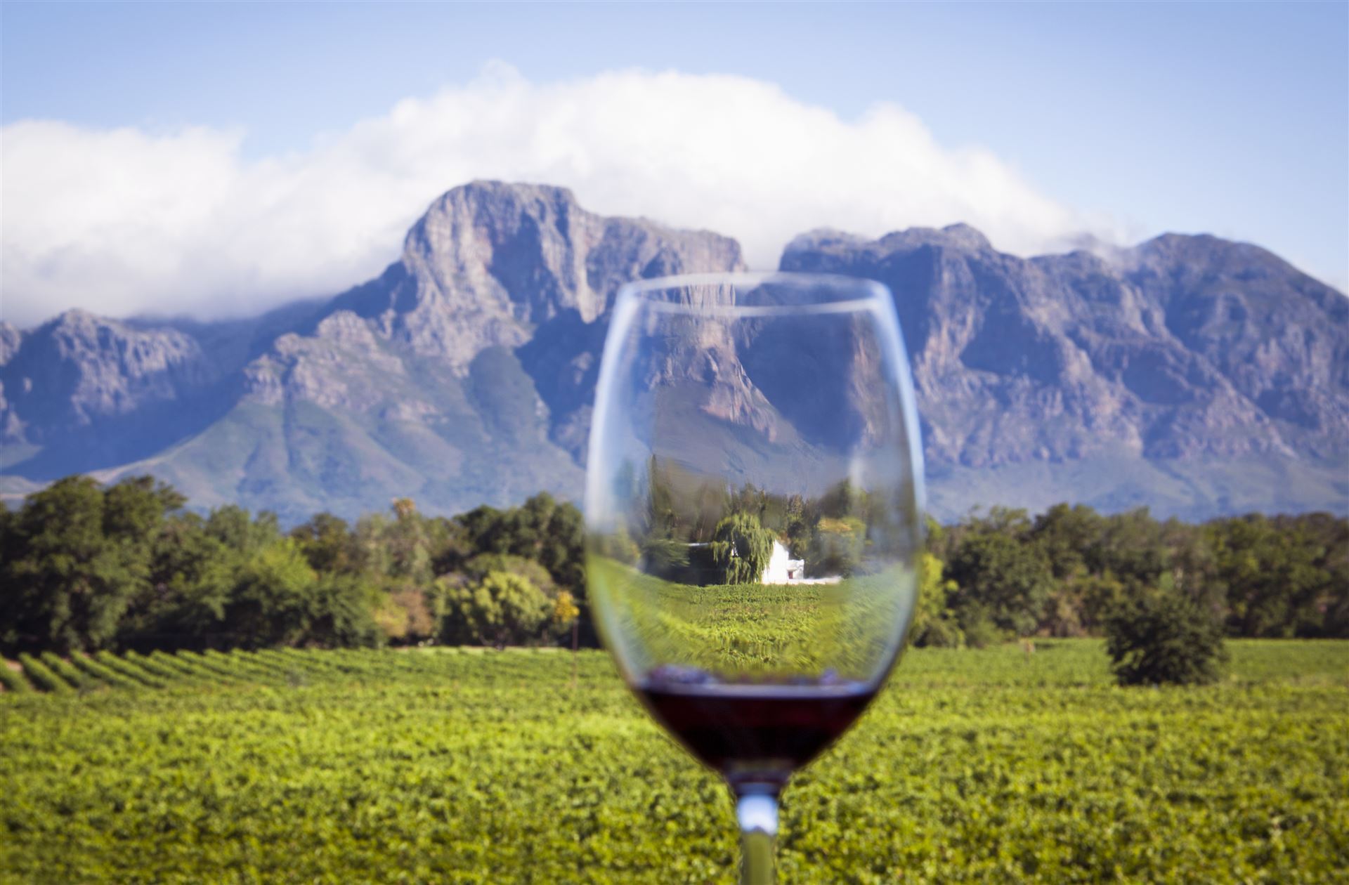 Weinregion Stellenbosch