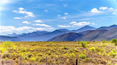 Impressionen von der Kleinen Karoo
