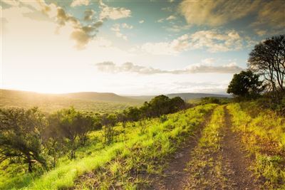 Landschaft rund um Mkuze