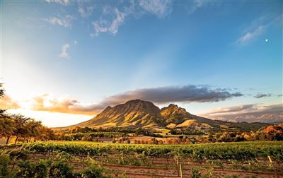 Stellenbosch