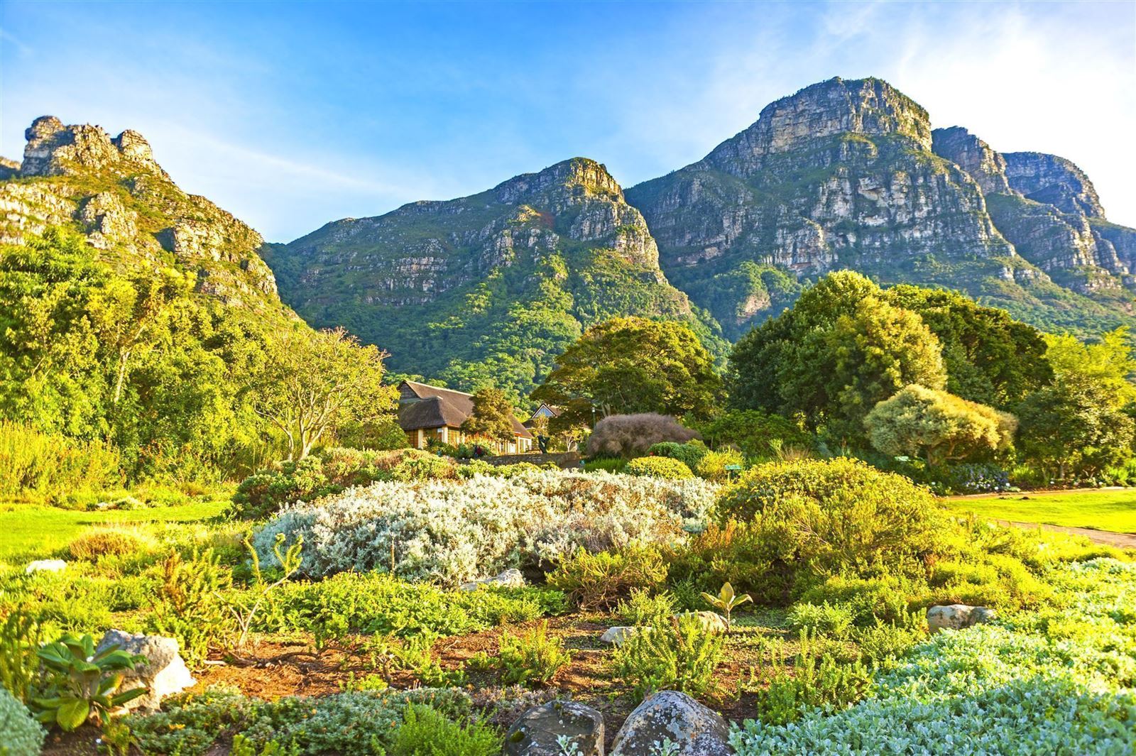 Rundreisen.de Südafrika Botanischer Garten Kirstenbosch