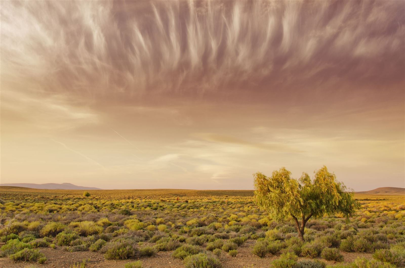 Sonnenuntergang in der Halbwüste Karoo