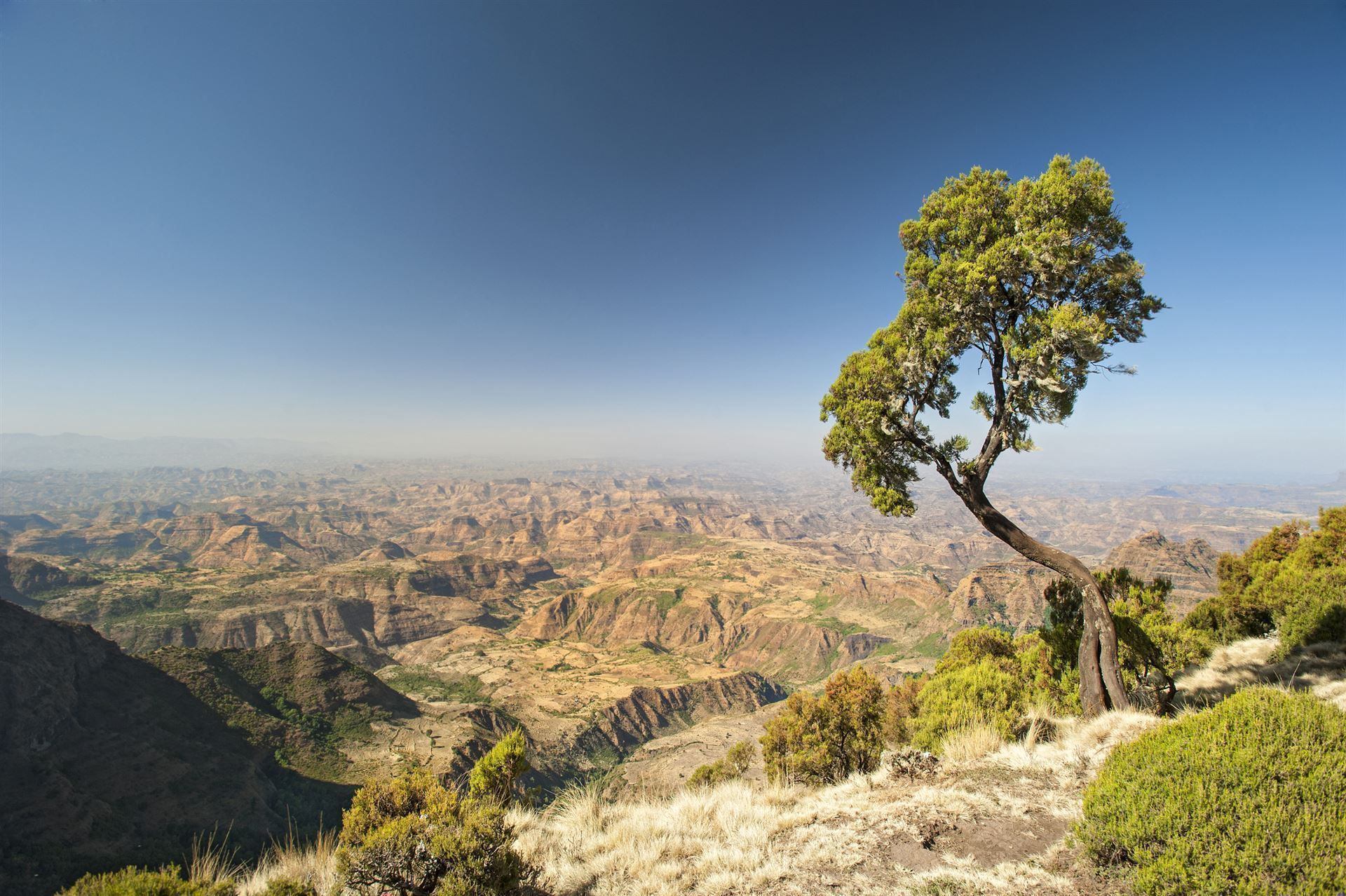 Simien-Gebirge