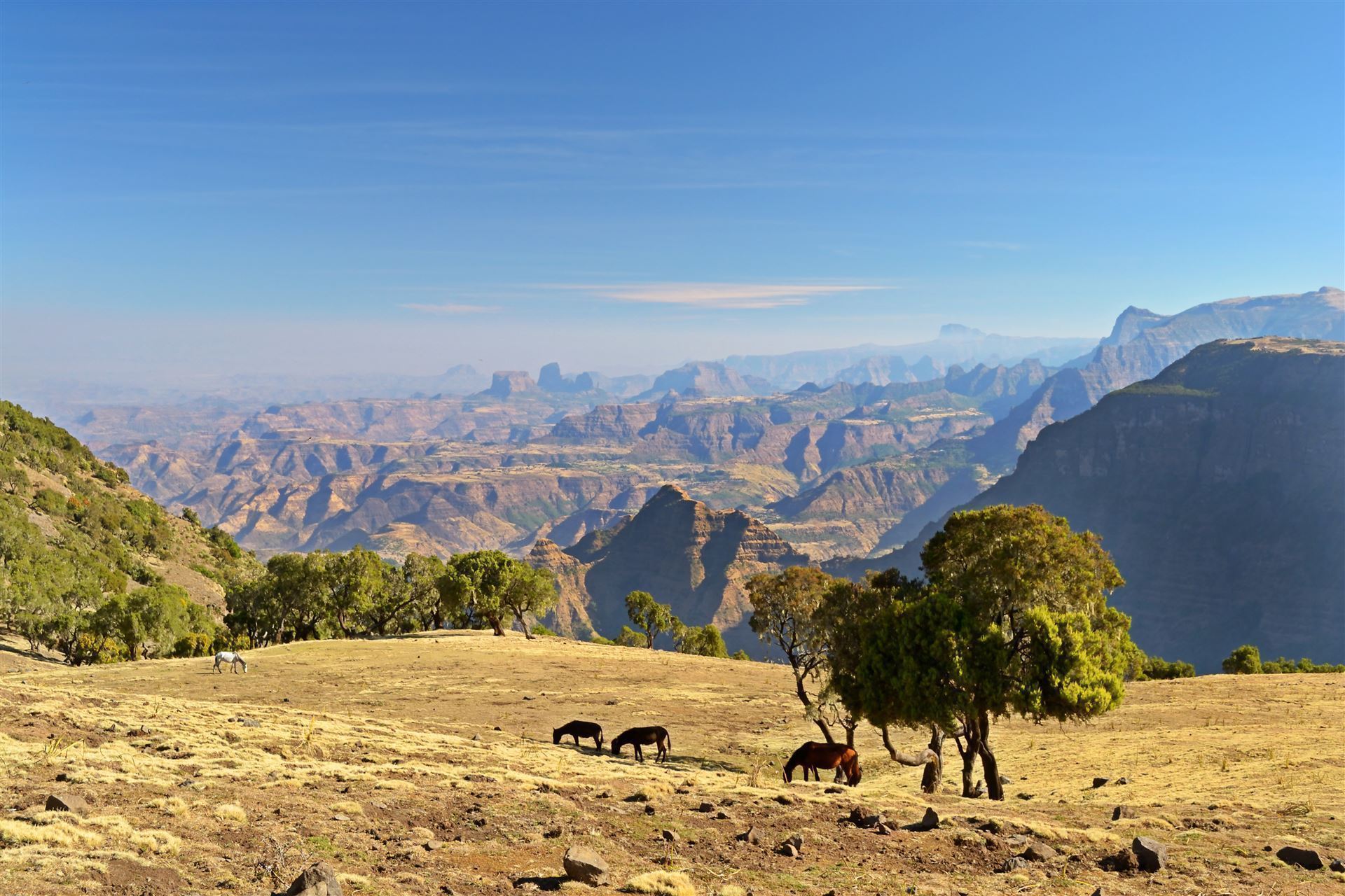 Simien-Nationalpark