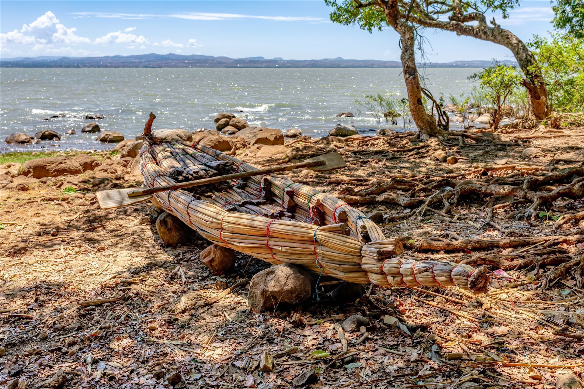 Traditionelles Boot am Tanasee