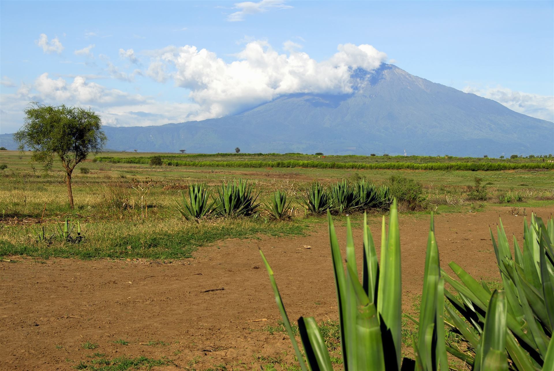 Arusha Nationalpark