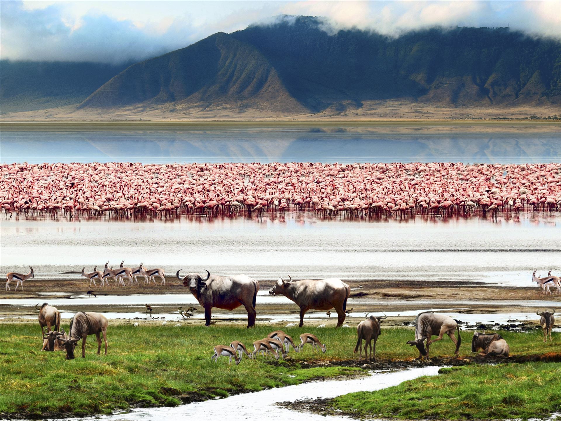 Ngorongoro Krater