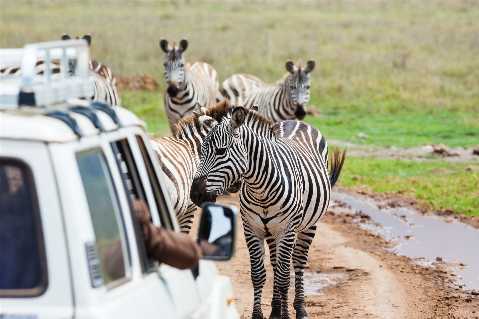 Ngorongoro Safari