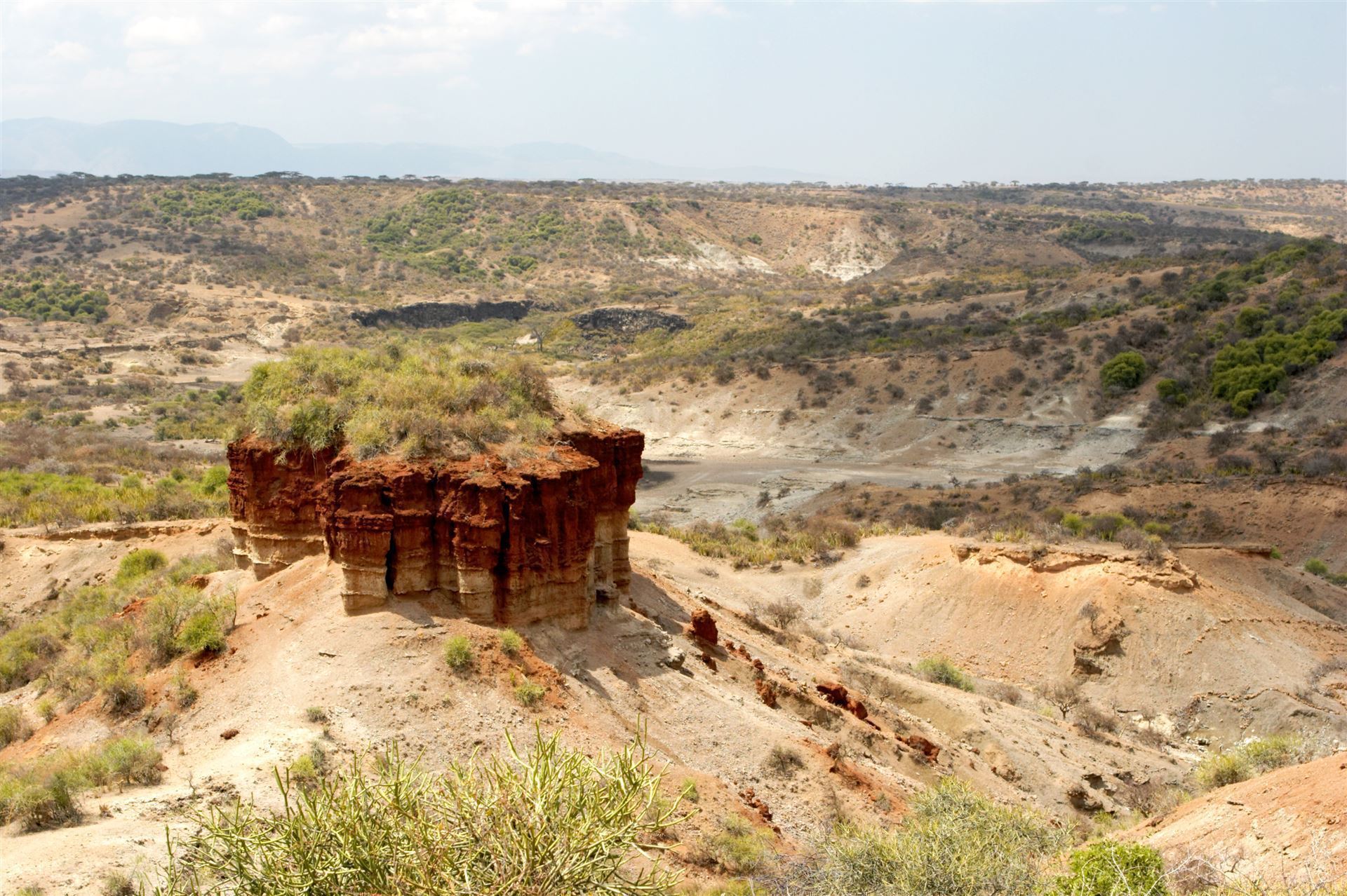 Olduvai-Schlucht