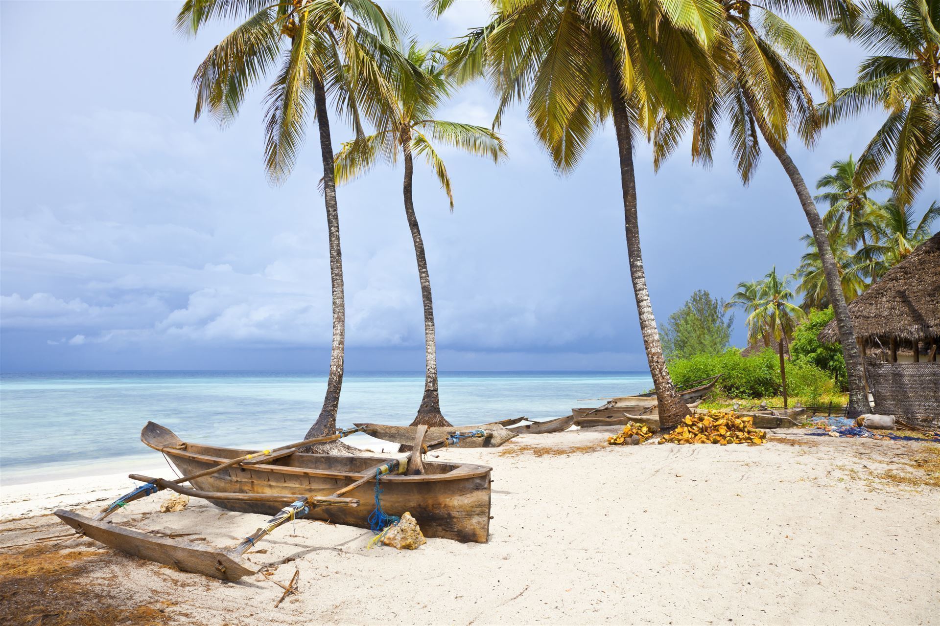 Strand mit Palmen auf Sansibar 