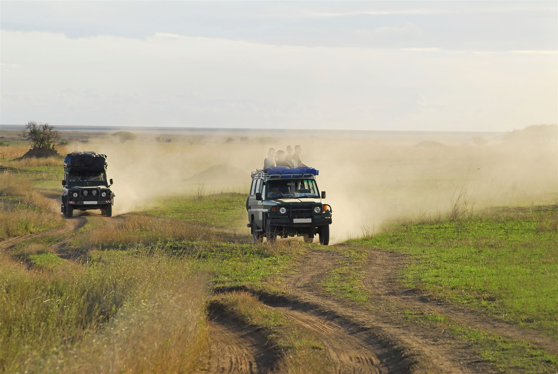 Safari durch den Serengeti Nationalpark