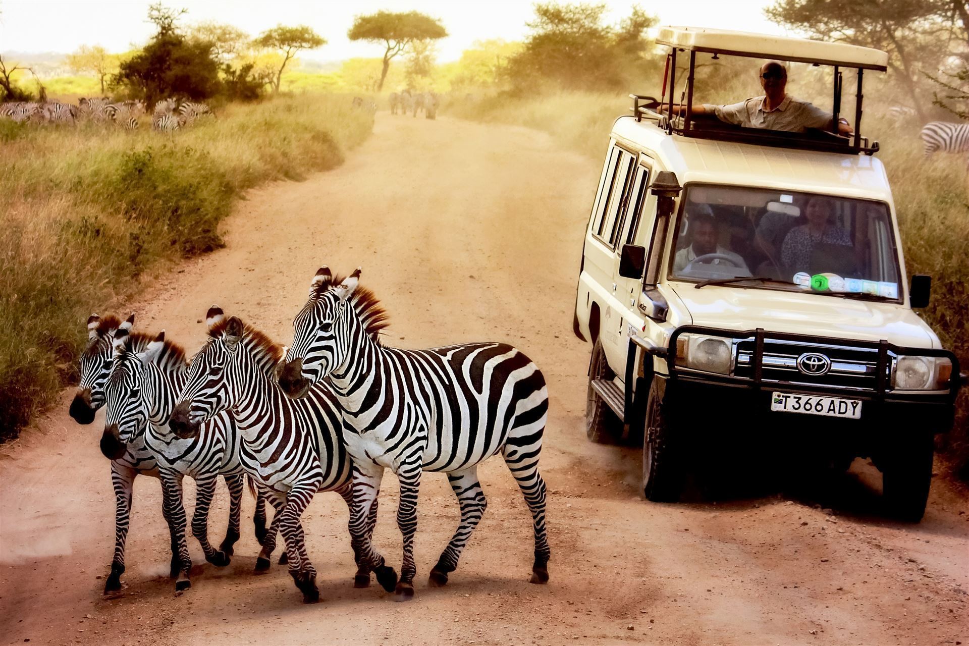 Serengeti National Park