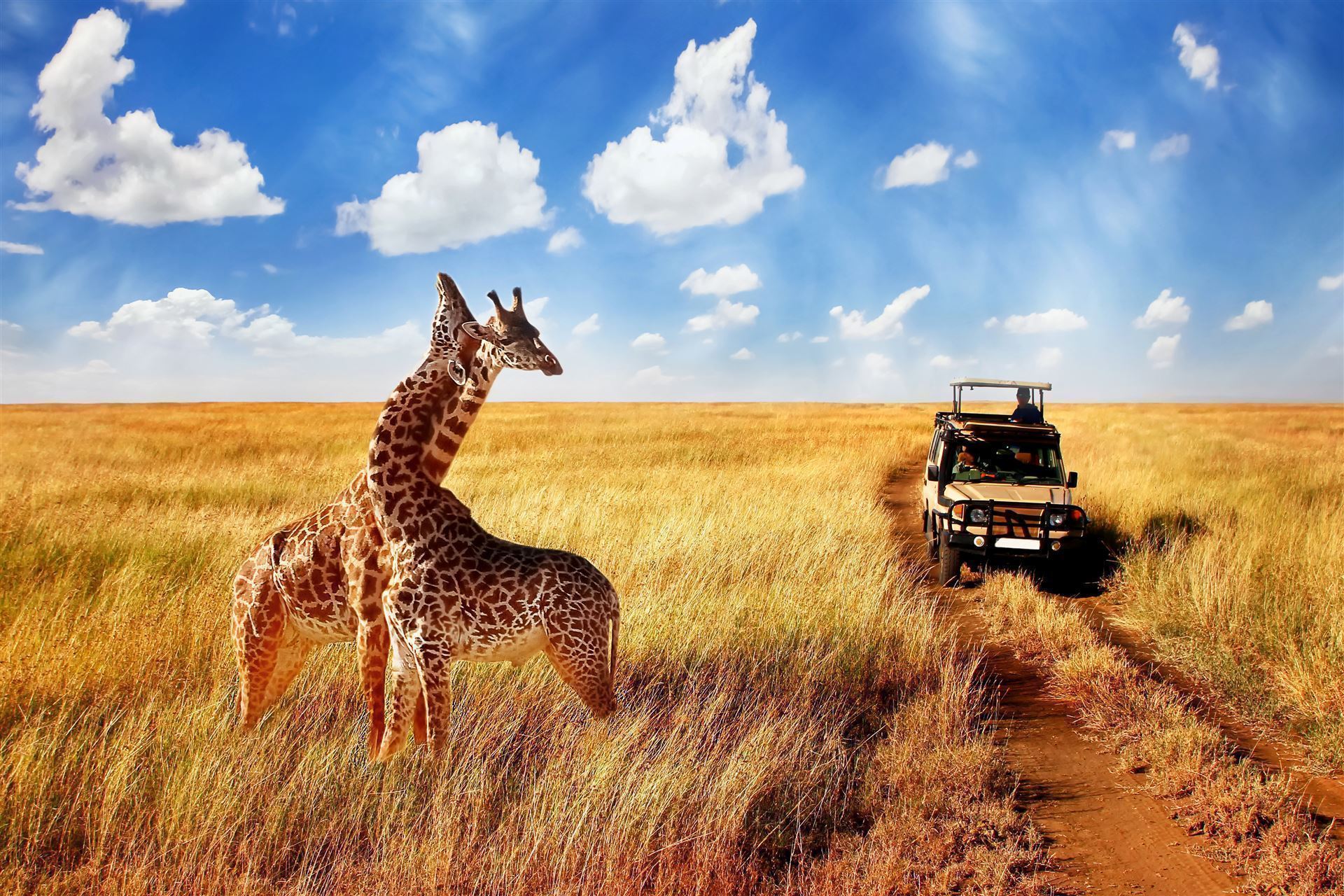 Serengeti National Park