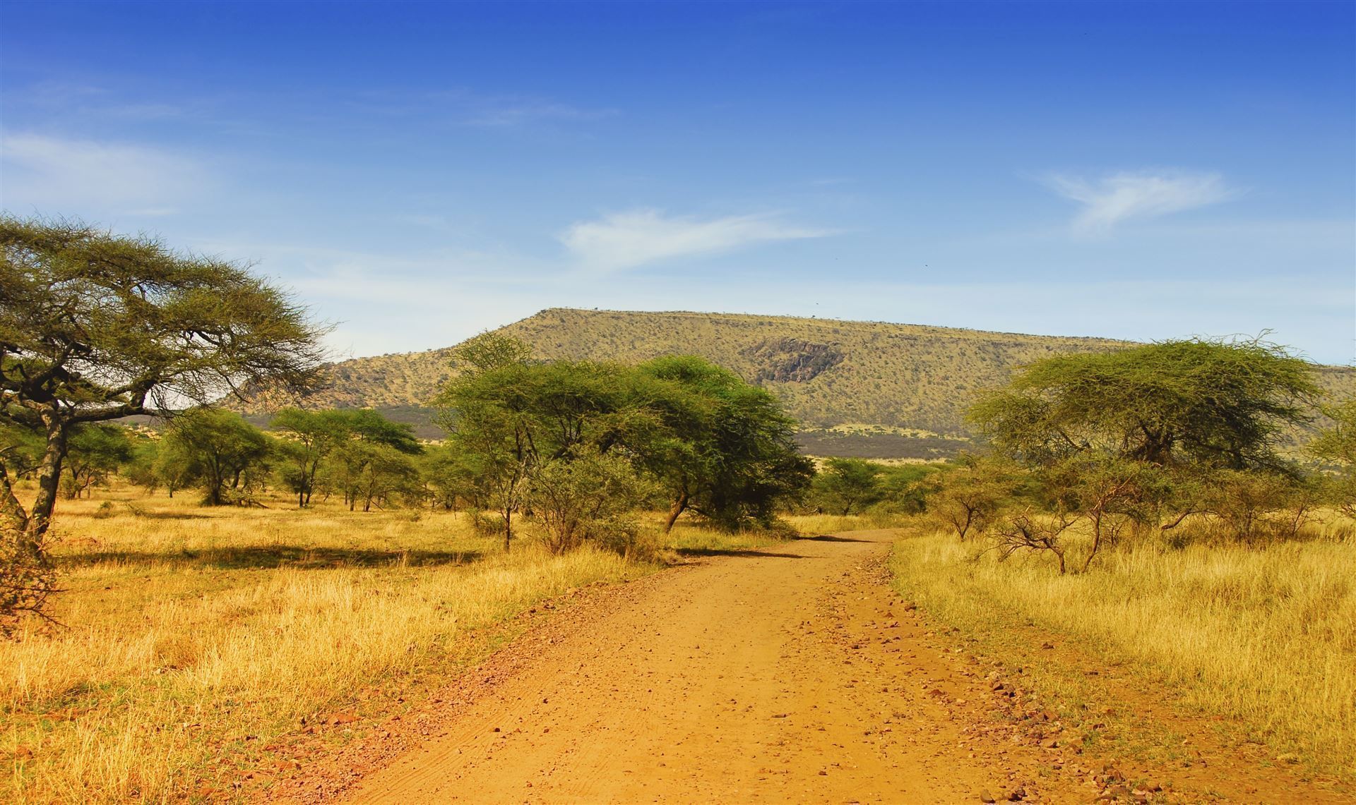Serengeti Nationalpark