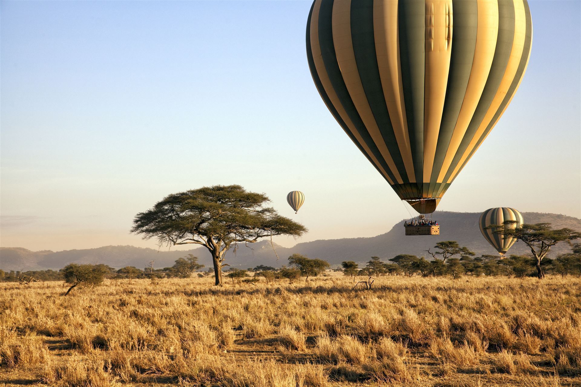 Ballonfahrt über den Serengeti Nationalpark