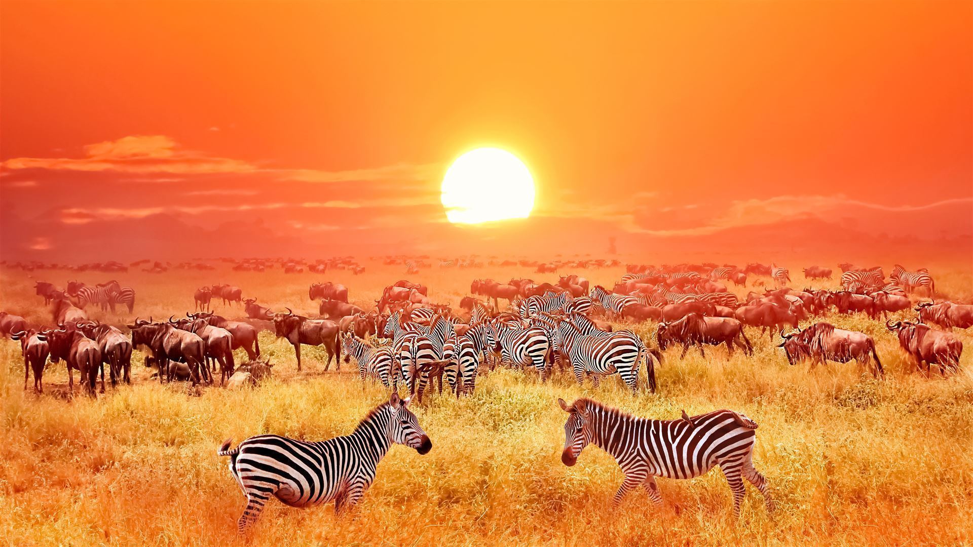 Sonnenuntergang
