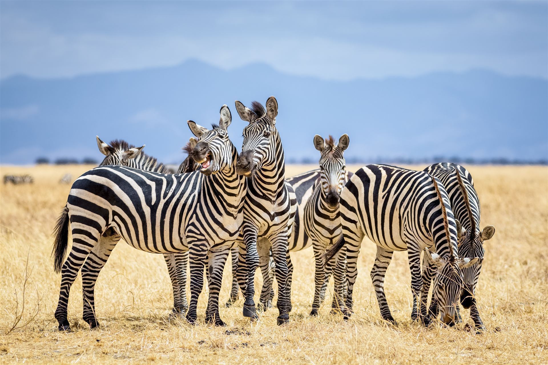 Tarangire Nationalpark