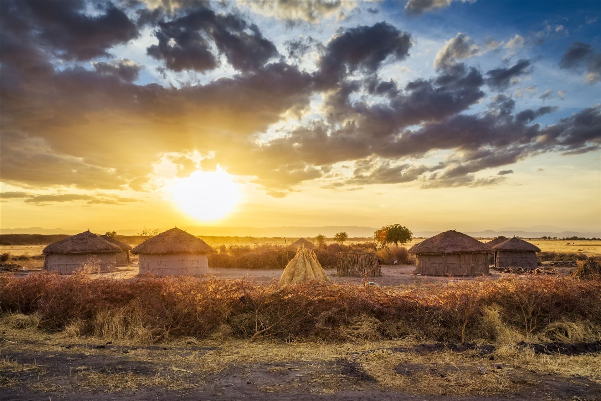 Massai Dorf im Tarangire Nationalpark