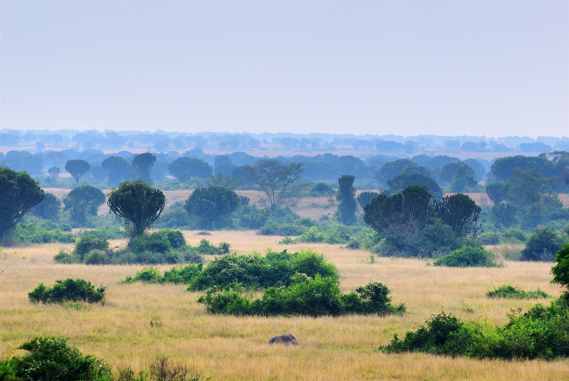 Landschaft