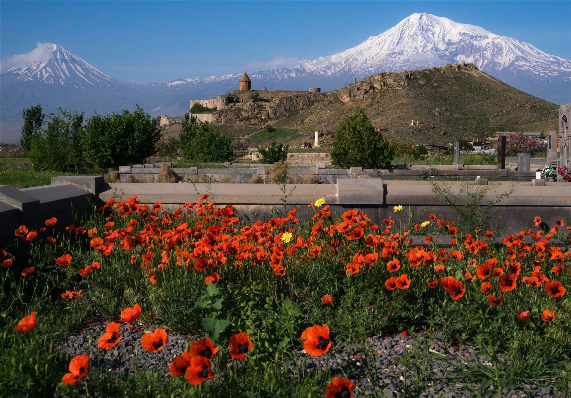 Berg Ararat schneebedeckt