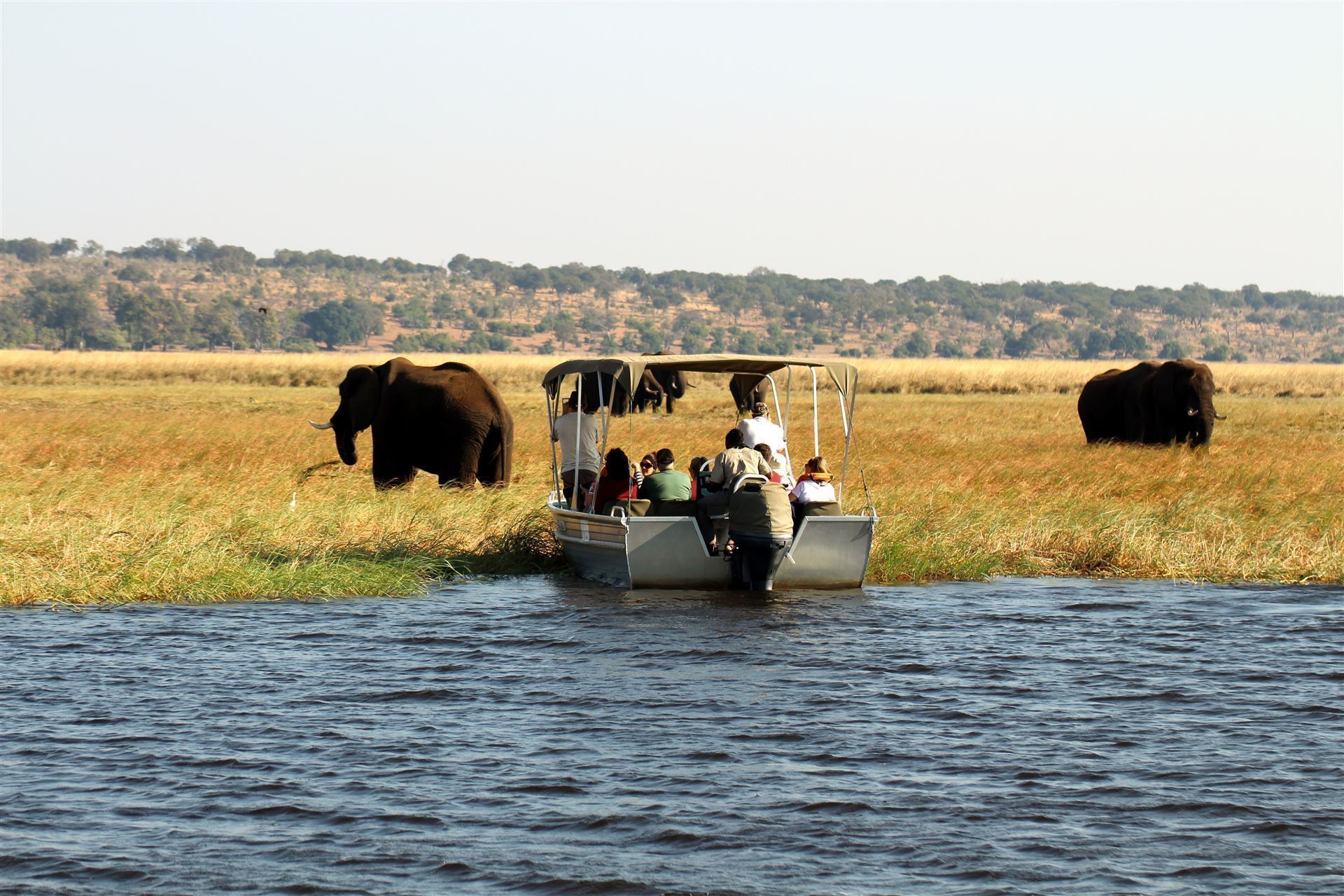 Touristenboot im Chobe Park