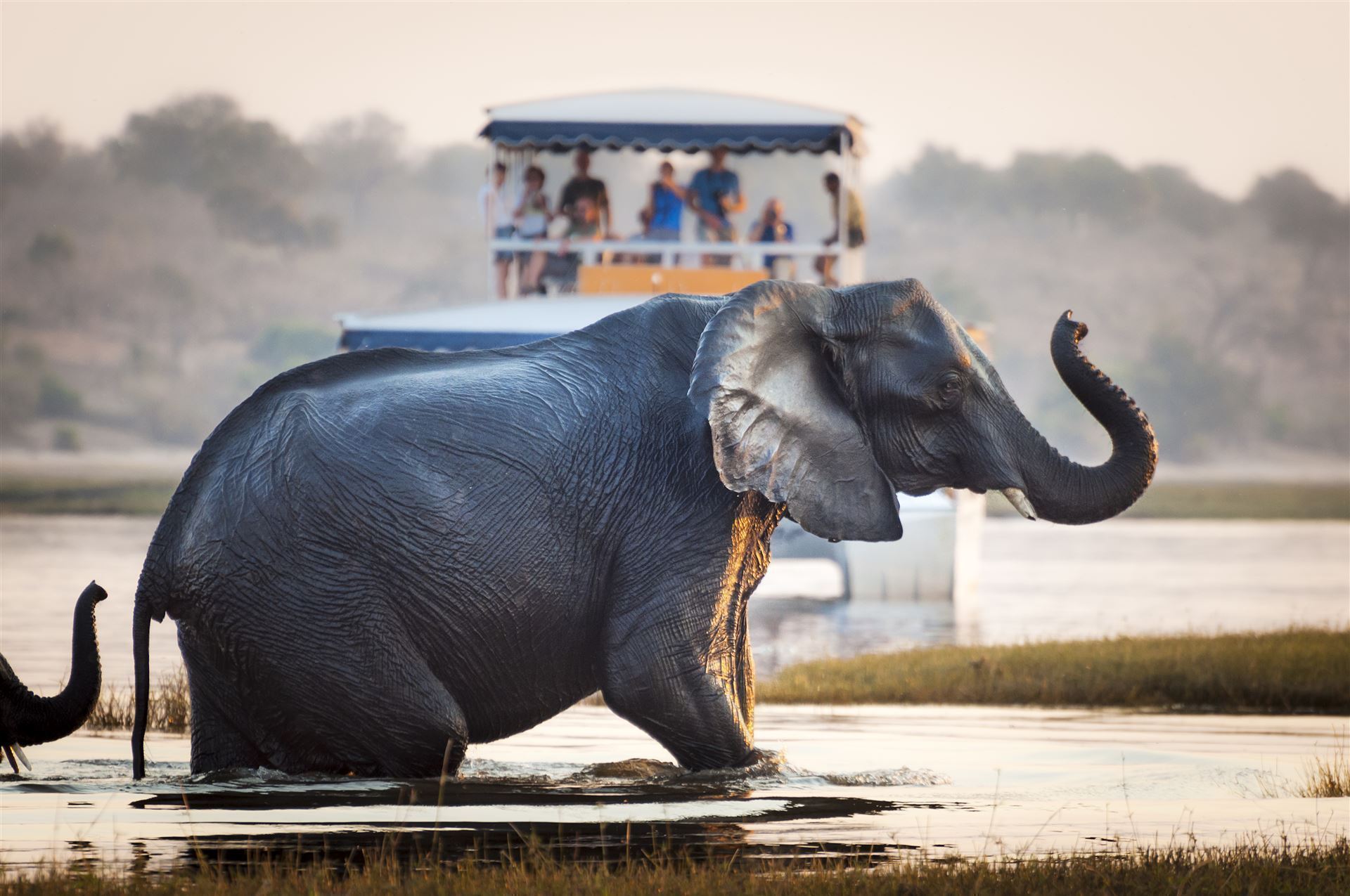 Safari im Chobe Nationalpark