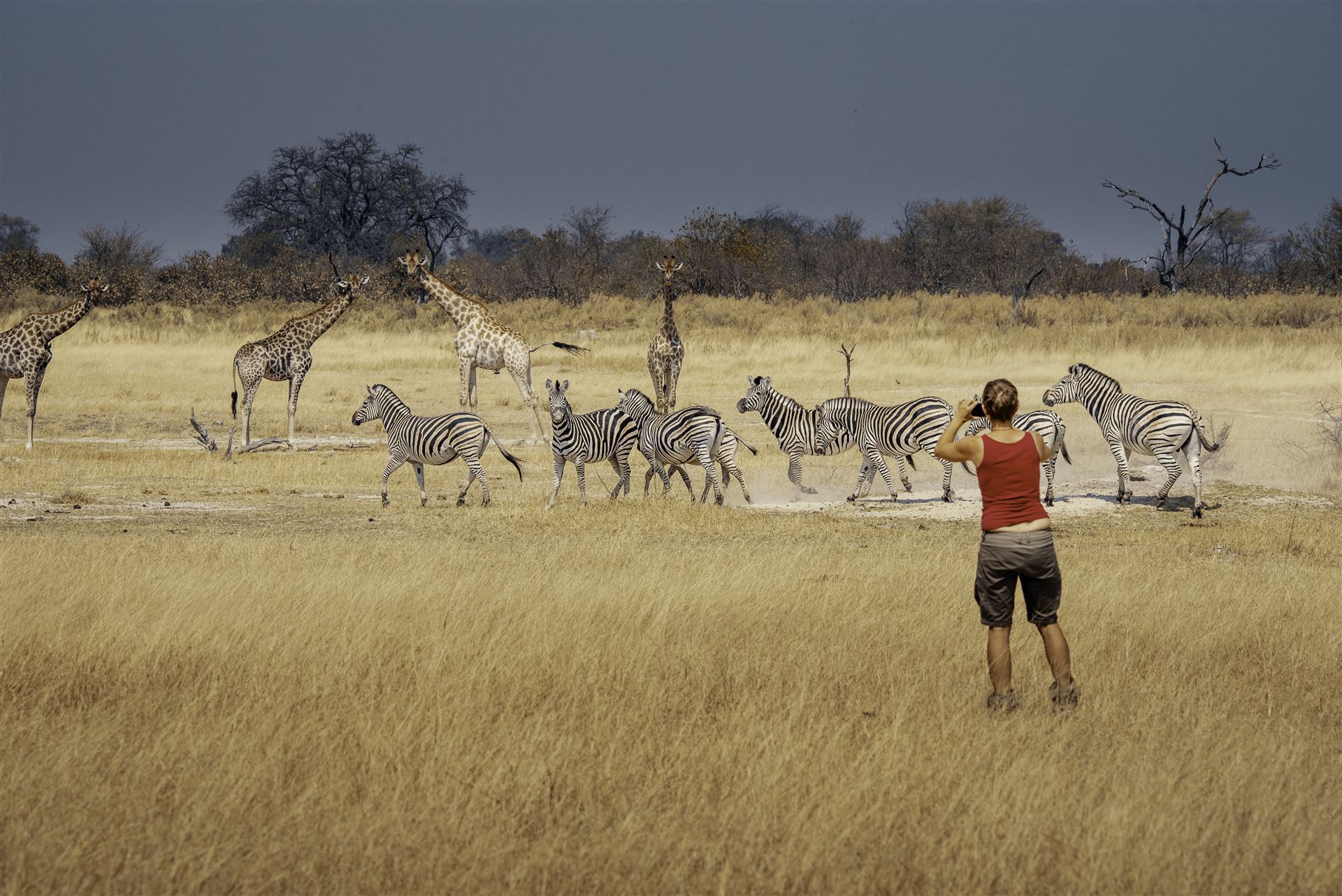 Fotografin im Moremi Nationalpark