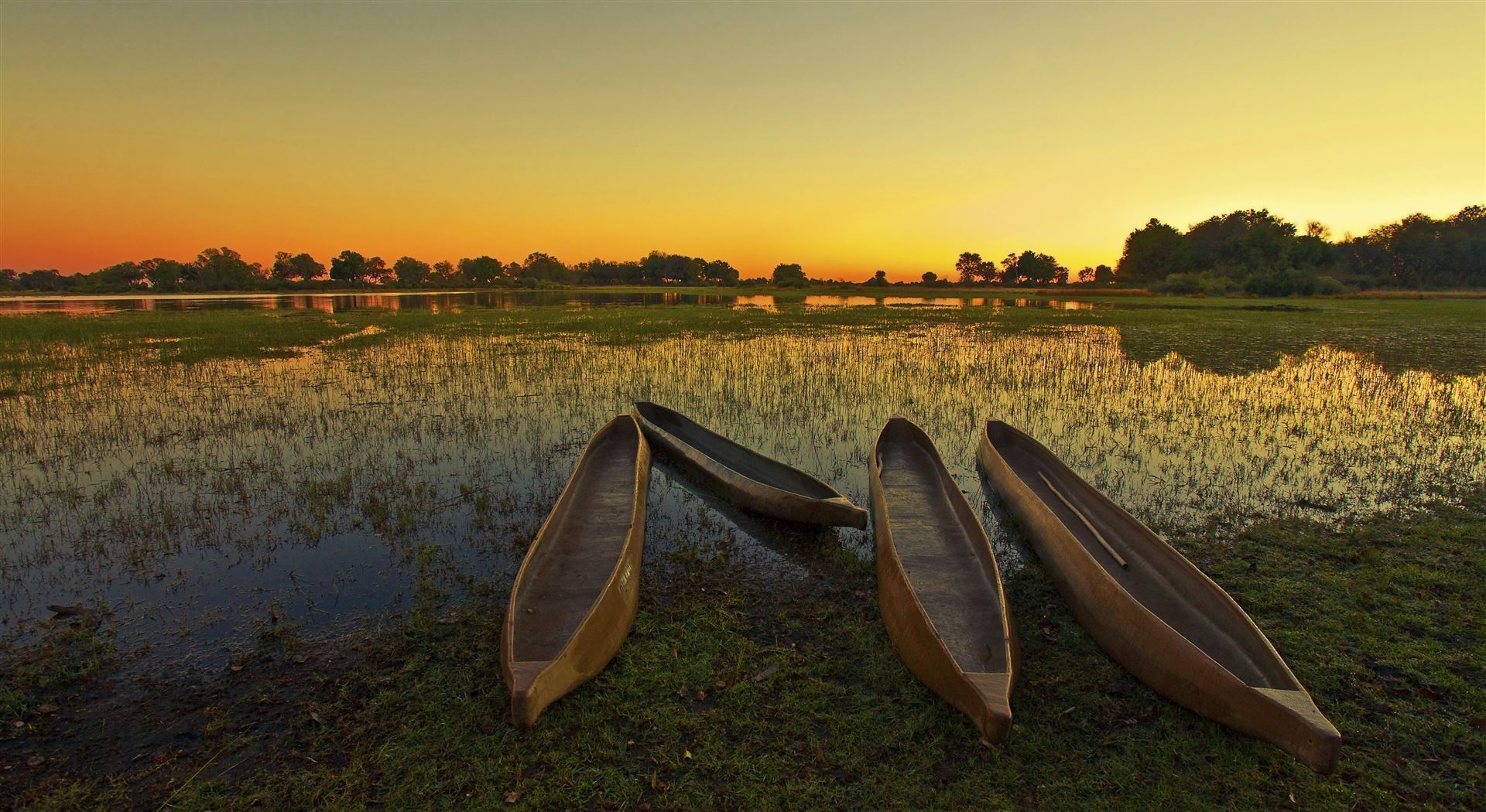 Okavango Delta