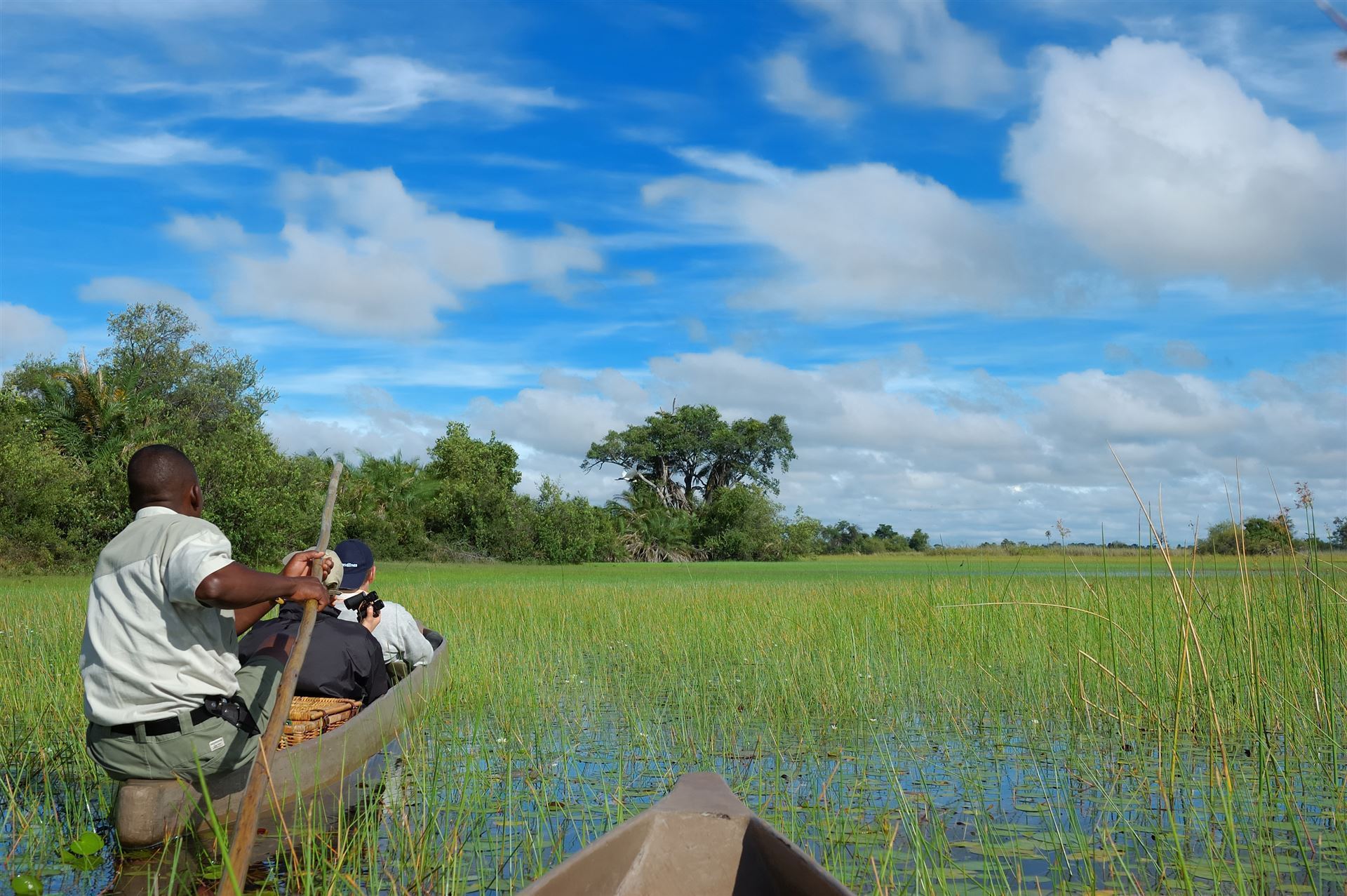 Safari auf dem Okavango Fluss