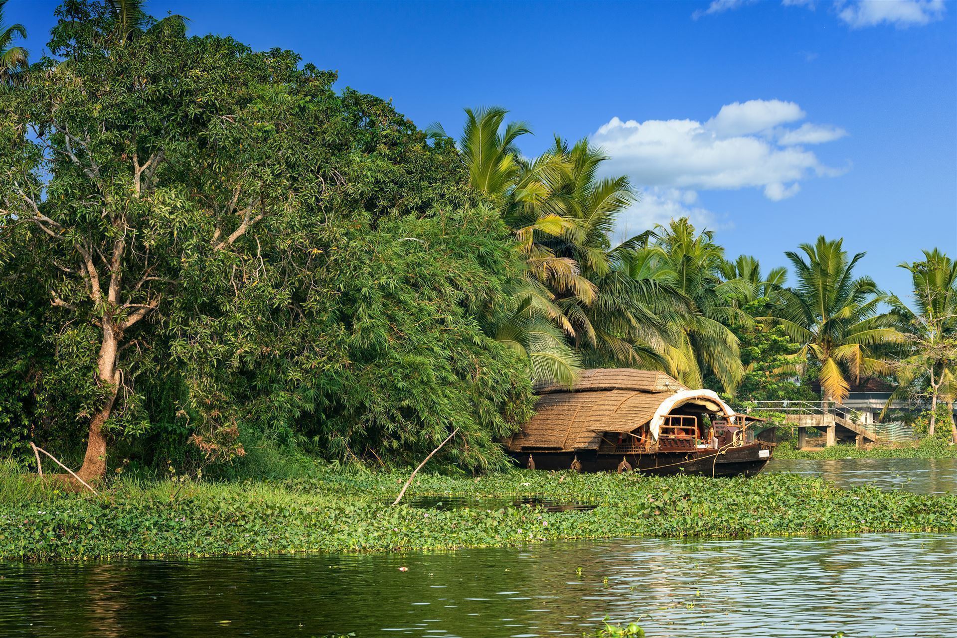 Impressionen der Backwaters