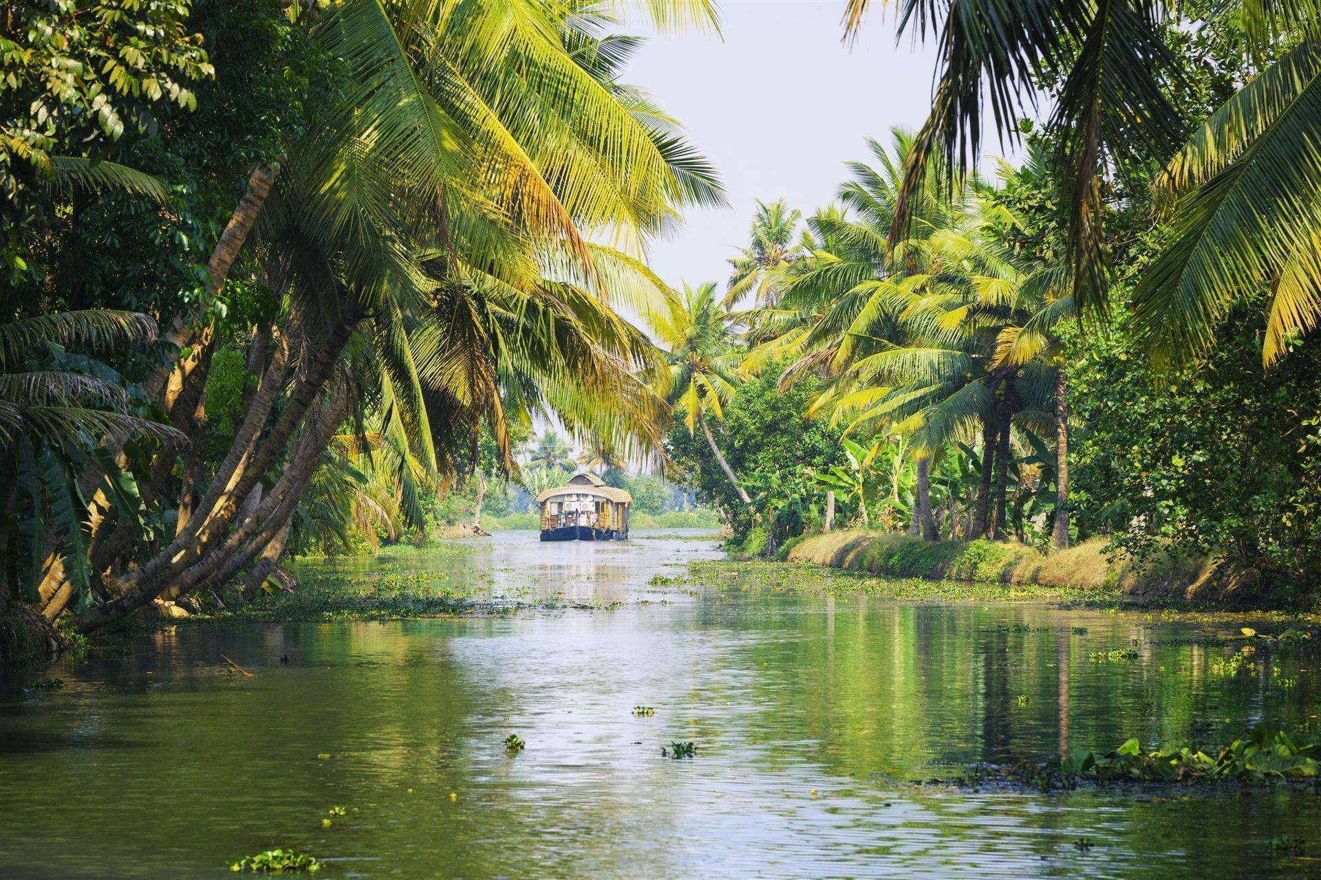 Impressionen der Backwaters