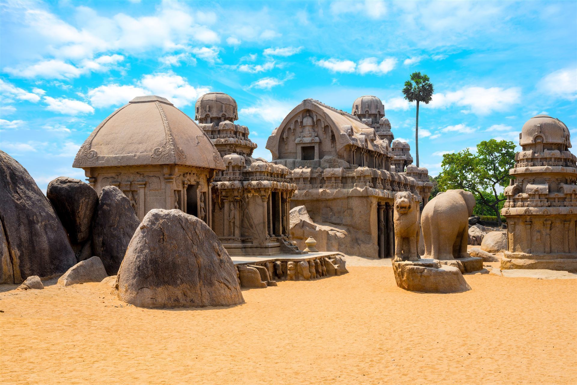 Fünf Rathas